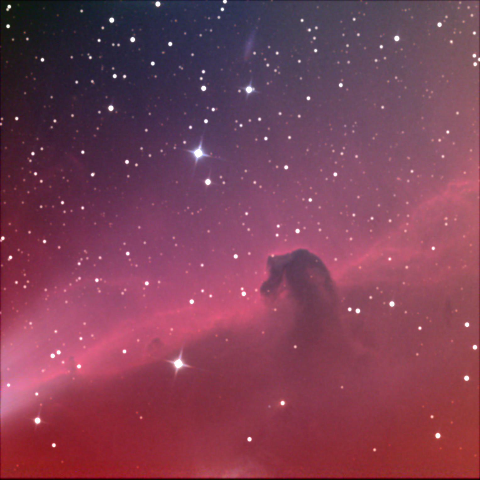 Horsehead Nebula (2/2013 Bay School field trip)